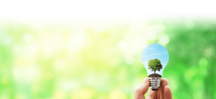 A lightbulb being held up against a green backdrop. Inside the lighbulb is a blue skyscape, with a tree planted in dirt visible.