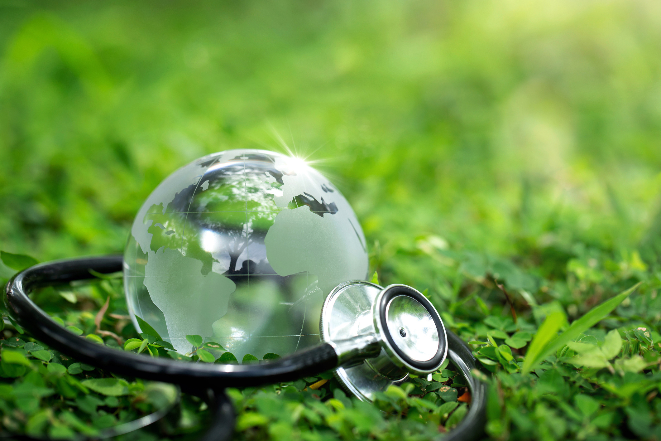 A glass globe nesting on green grass, with a stethoscope wrapped around it.