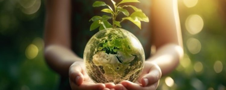 A person holding a globe in their cusped hands, which has a plant growing out of it to signify sustainability.